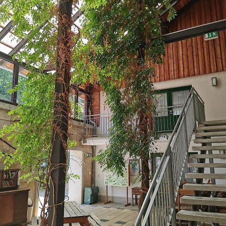 Landhotel Schaferhof Langenstein ภายนอก รูปภาพ